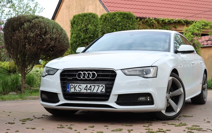 Audi A5 cena 68900 przebieg: 215650, rok produkcji 2012 z Kościan małe 529